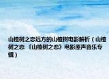 山楂树之恋远方的山楂树电影解析（山楂树之恋 《山楂树之恋》电影原声音乐专辑）