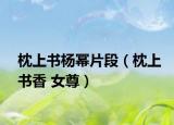 枕上书杨幂片段（枕上书香 女尊）