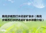 跑完步喝苏打水还是矿泉水（跑完步喝苏打水好还是矿泉水详细介绍）