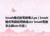 brush格式的笔刷导入ps（brush格式笔刷如何转成abr brush笔刷怎么转abr介绍）