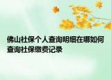 佛山社保个人查询明细在哪如何查询社保缴费记录