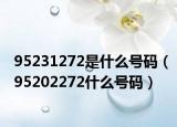 95231272是什么号码（95202272什么号码）