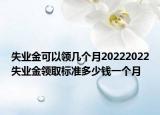 失业金可以领几个月20222022失业金领取标准多少钱一个月