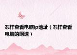 怎样查看电脑ip地址（怎样查看电脑的网速）