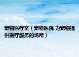 宠物医疗室（宠物医院 为宠物提供医疗服务的场所）