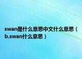 swan是什么意思中文什么意思（b.swan什么意思）