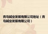 青岛碱业发展有限公司地址（青岛碱业发展有限公司）