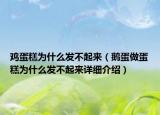 鸡蛋糕为什么发不起来（鹅蛋做蛋糕为什么发不起来详细介绍）