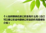 个人如何缴纳住房公积金有什么用（自己可以缴公积金吗缴纳公积金的作用是哪些介绍）