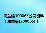 海兰信300065公司资料（海兰信[300065]）