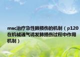 msc治疗急性肺损伤的机制（p120在机械通气诱发肺损伤过程中作用机制）