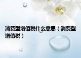 消费型增值税什么意思（消费型增值税）