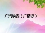 广汽埃安（广桥凉）