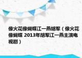 像火花像蝴蝶江一燕胡军（像火花像蝴蝶 2013年胡军江一燕主演电视剧）