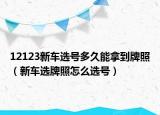 12123新车选号多久能拿到牌照（新车选牌照怎么选号）