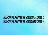 武汉东湖海洋世界公园游玩攻略（武汉东湖海洋世界公园旅游攻略）