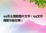 qq怎么提取图片文字（qq文字提取功能在哪）