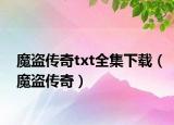 魔盗传奇txt全集下载（魔盗传奇）