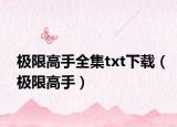 极限高手全集txt下载（极限高手）
