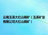 云南玉溪大红山铜矿（玉溪矿业有限公司大红山铜矿）