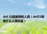 dnf 35级推荐的人偶（dnf25级用什么人偶厉害）