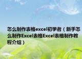 怎么制作表格excel初学者（新手怎么制作Excel表格Excel表格制作教程介绍）
