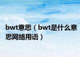 bwt意思（bwt是什么意思网络用语）