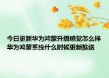 今日更新华为鸿蒙升级感觉怎么样华为鸿蒙系统什么时候更新推送