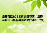 洛神花搭配什么有美白功效（洛神花和什么搭配减肥效果好详细介绍）