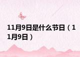 11月9日是什么节日（11月9日）