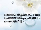 ps笔刷brush格式怎么导入（brushset笔刷怎么导入ps ps如何导入brushset笔刷介绍）
