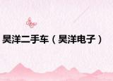 昊洋二手车（昊洋电子）