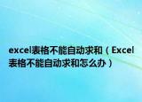 excel表格不能自动求和（Excel表格不能自动求和怎么办）