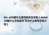 bln al20是什么型号的华为手机（dubal20是什么手机型号 华为什么型号手机介绍）