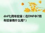 dnf七周年纹章（在DNF中7周年纹章有什么用?）