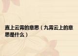 直上云霄的意思（九霄云上的意思是什么）