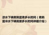凉水下锅煮鹅蛋煮多长时间（煮鹅蛋冷水下锅需要多长时间详细介绍）