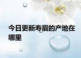 今日更新寿眉的产地在哪里