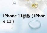 iPhone 11参数（iPhone 11）