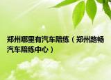 郑州哪里有汽车陪练（郑州路畅汽车陪练中心）