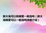 胖大海可以和蜂蜜一起泡吗（胖大海蜂蜜可以一起泡吗详细介绍）