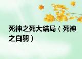 死神之死大结局（死神之白羽）