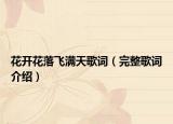花开花落飞满天歌词（完整歌词介绍）