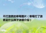 不打激素的草莓图片（草莓打了激素是什么样子详细介绍）