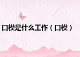 口模是什么工作（口模）