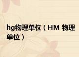 hg物理单位（HM 物理单位）
