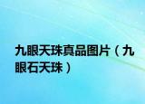 九眼天珠真品图片（九眼石天珠）