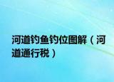 河道钓鱼钓位图解（河道通行税）