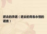 逝去的承诺（逝去的青春永恒的诺言）