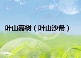 叶山嘉树（叶山沙希）
